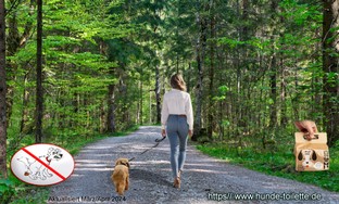 Frühlings Wald mit Junger Frau + Hund.jpg