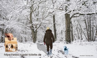 Winterwald mit Frau und Pinscher.jpg